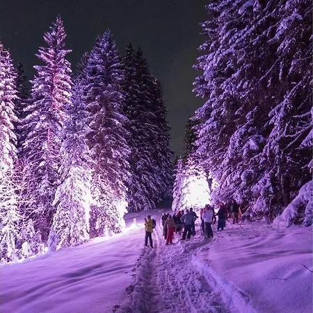 Lochstafel Apartamento Saanenmöser