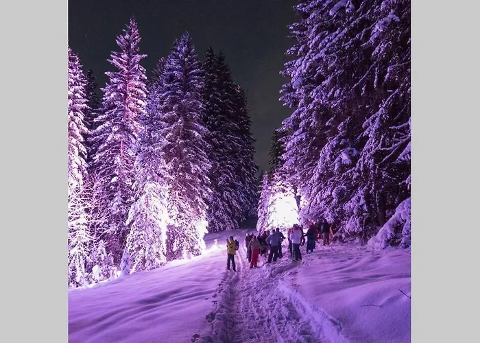 Lochstafel Lejlighed Saanenmöser